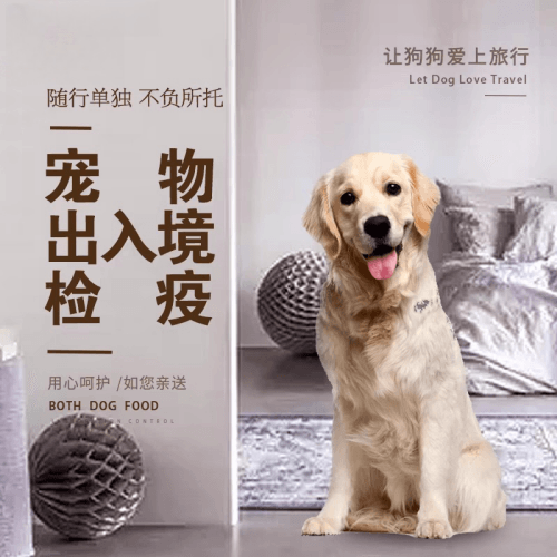 武汉市宠物托运到哥伦比亚猫狗宠物入境规定和
