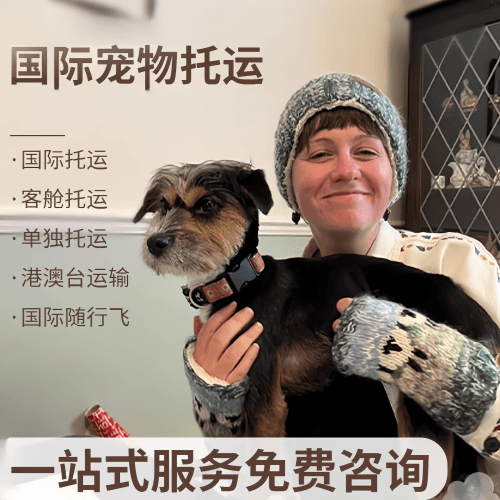 武汉市国际宠物托运到阿根廷宠物入境规定和要