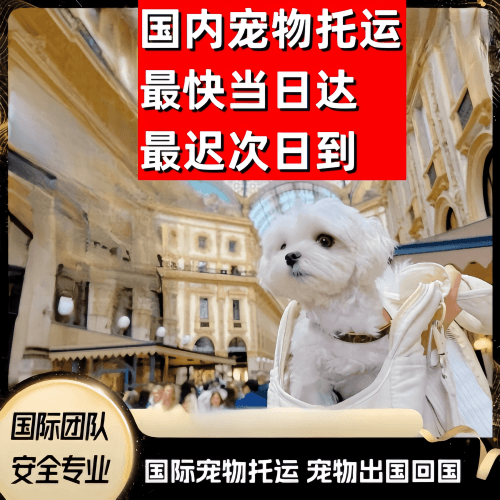 武汉市到澳大利亚（澳洲）宠物入境规定和要求