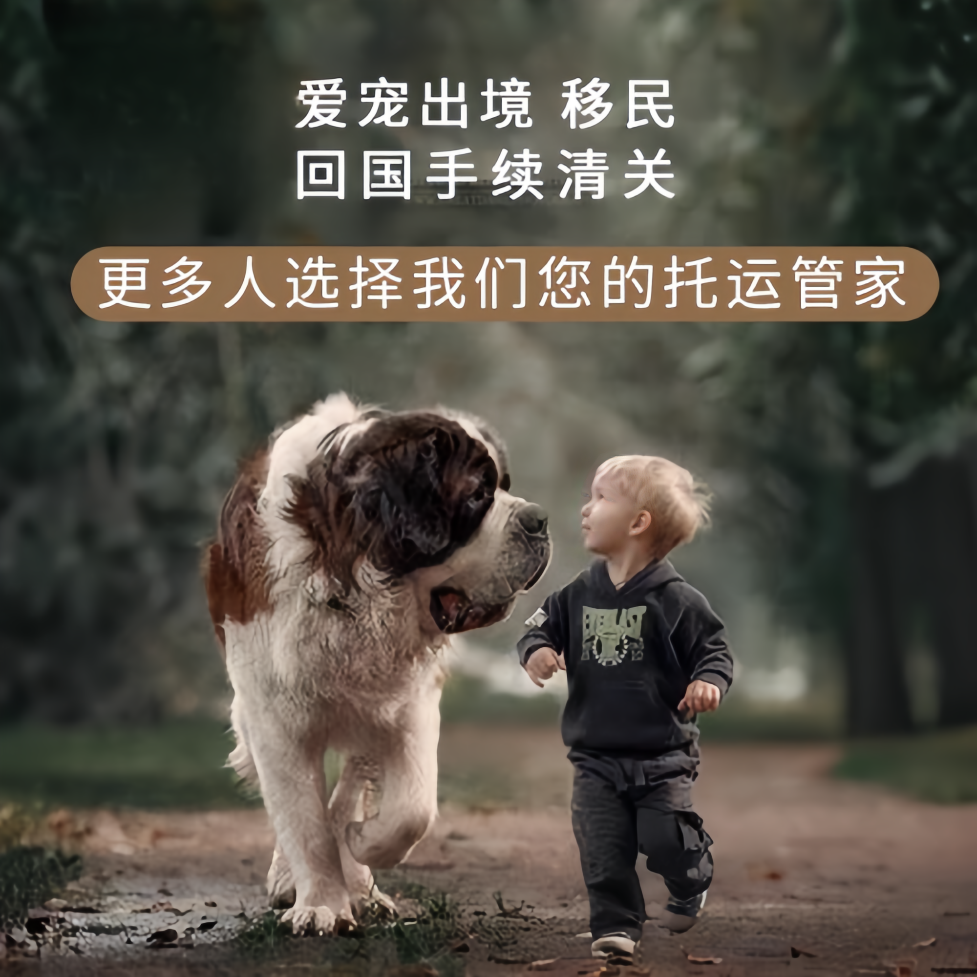 满财武汉市宠物全球达宠物托运在遵守入境目的地政策的条件
