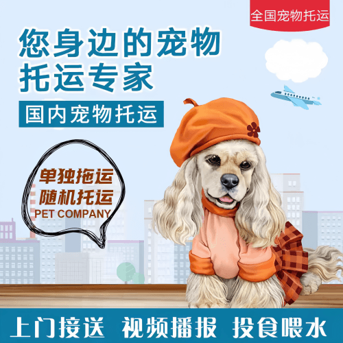 满财武汉市宠物全球达宠物托运作为专业的宠物运输代理机构